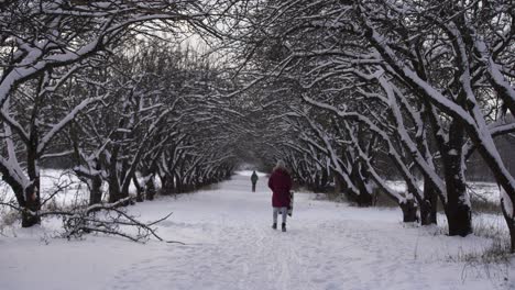 the girl walks in snowfall on the street. the road is in the snow, in the air a lot of snowflakes are flying