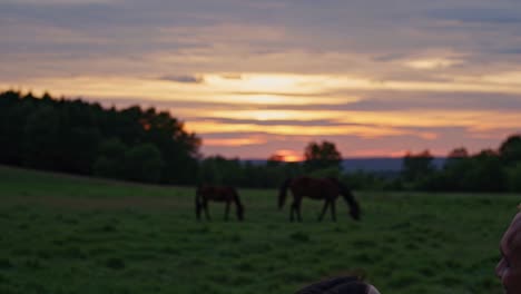 sunset kiss by horses
