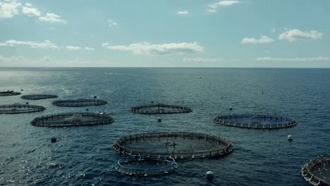 aquaculture cage culture of freshwater fish