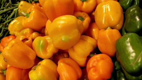 bell peppers transitioning from yellow to red