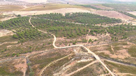 aerial shot of dry farm land with small trees, 4k