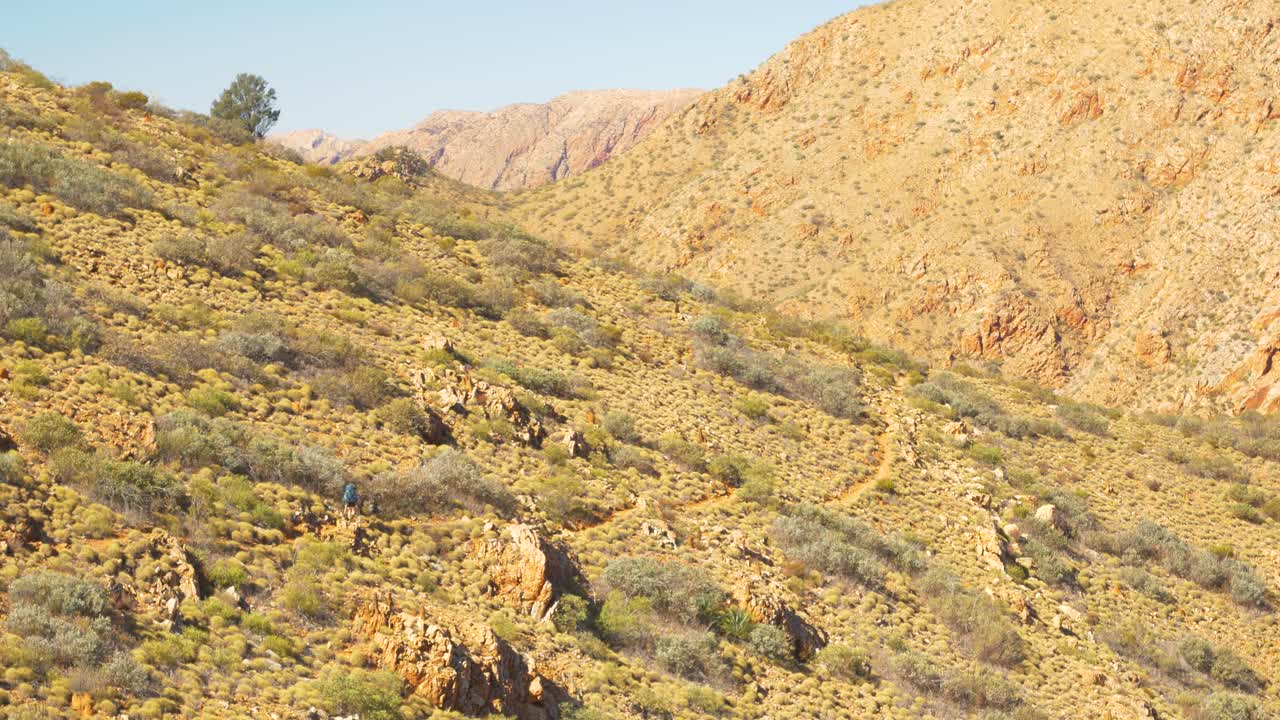 호주 중부의 스피니펙스(spinifex) 풍경에서 트레일을 따라 먼 등산객이 걷습니다.