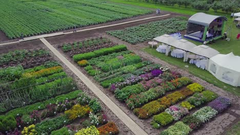 floral and vegetable display at agricultural exhibition