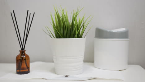 tabletop arrangement featuring green indoor plant in white ceramic pot, brown glass bottle with black reed diffuser sticks, and sleek white container with grey lid set against light wall background