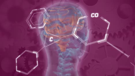 animation of chemical formula and data processing over digital brain and cogs on purple background