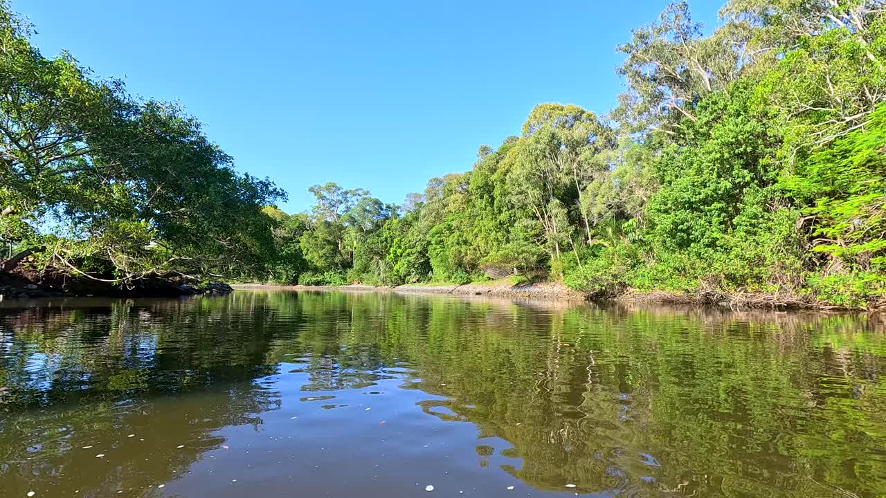 un viaje pacífico en barco a través del exuberante paisaje del río