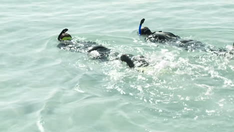 two people swim by with snorkel gear