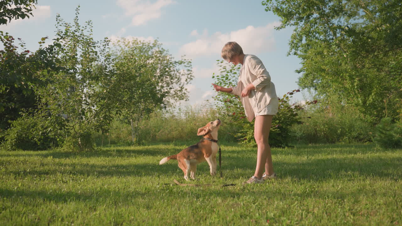 perro saltando hacia la mano del dueño mientras ella le instruye a sentarse, y el perro obedece, con la correa alrededor del cuello en un exuberante jardín al aire libre rodeado de vegetación y árboles