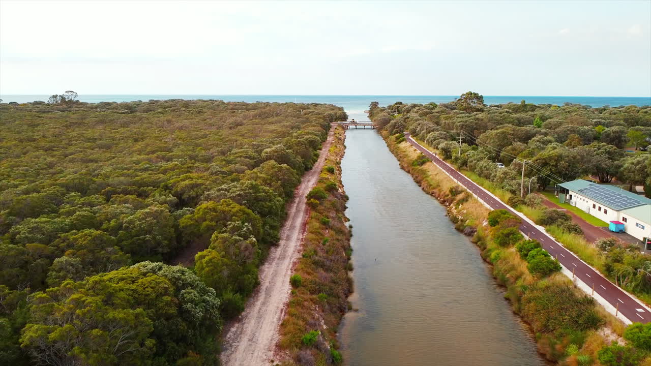 increíble vista de drones del bosque de humedales y el río que fluye hacia el estuario