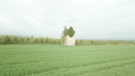 Creeper-covered-Gortmakellis-Castle-Garryard-Tipperary-Ireland