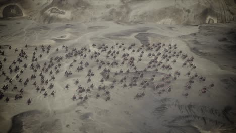 aerial view of an ancient army charging in a battlefield