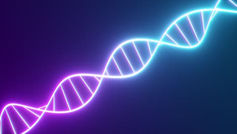 cadena de adn de neón giratorio. luces ultravioletas fluorescentes. estilo de ciencia ficción. espectro de luz púrpura azul de neón moderno. animación de bucle sin costuras de renderizado 3d 4k uhd