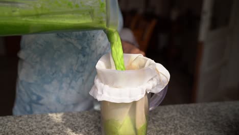 verter jugo de vegetales mezclados en una jarra con queso