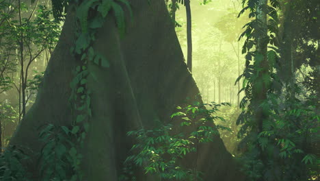 exploring the lush tranquility of a verdant rainforest habitat in morning light