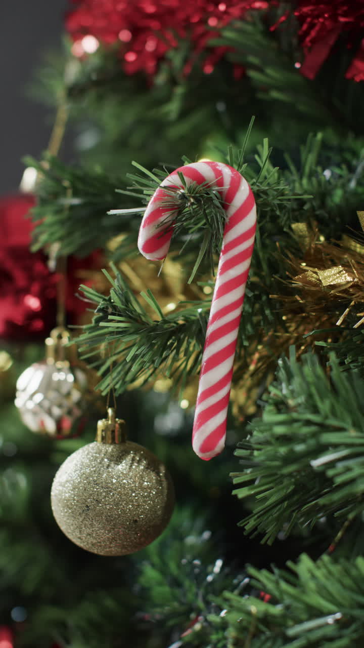 Vertical video of christmas tree with candy cane and decorations and copy space