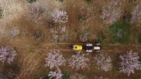 Drohnenaufnahme-Des-Landwirtschaftlichen-Sprühtraktors