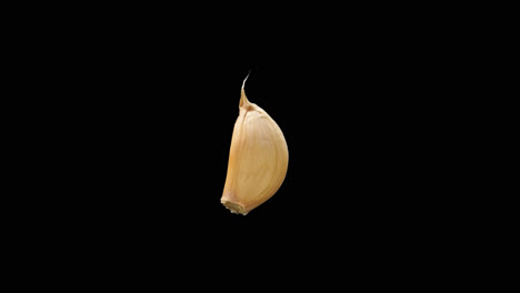 single garlic clove