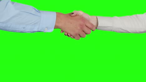 Business-people-handshaking