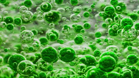 macro-shot-of-big-green-bubbles-floating-in-water