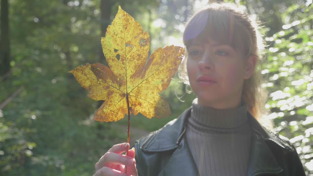 소녀는 숲에서 황금 잎사귀를 통해 빛나는 햇빛을 바라본다