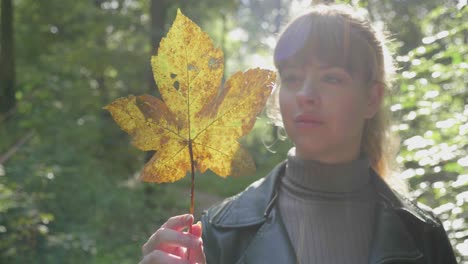 niña mira la luz del sol brillando a través de la hoja dorada en el bosque