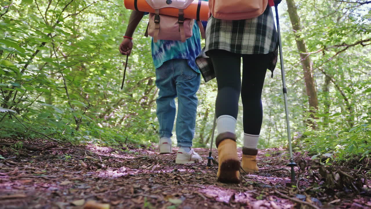 excursionistas en un bosque