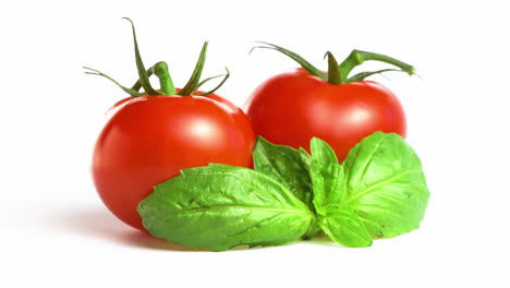 red cherry tomatoes with basil leaves isolated on the white background