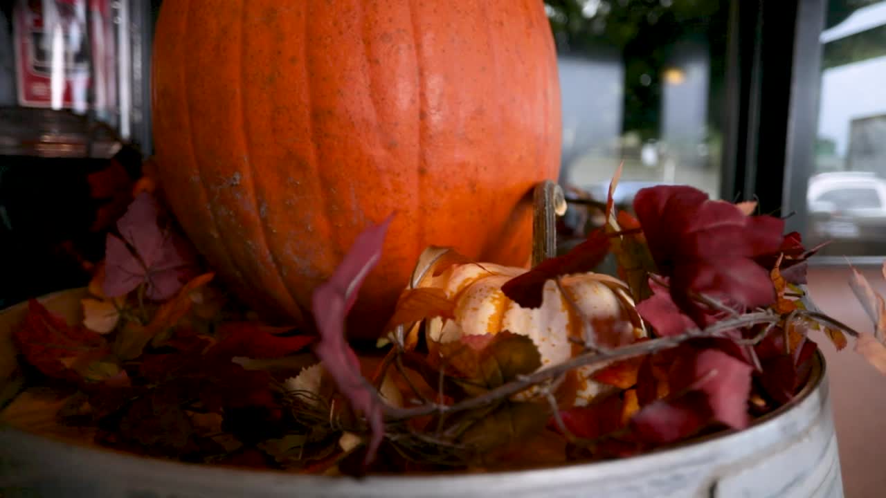 calabaza naranja sobre un montón de coloridas hojas de arce secas - pantalla de halloween - tiro en órbita