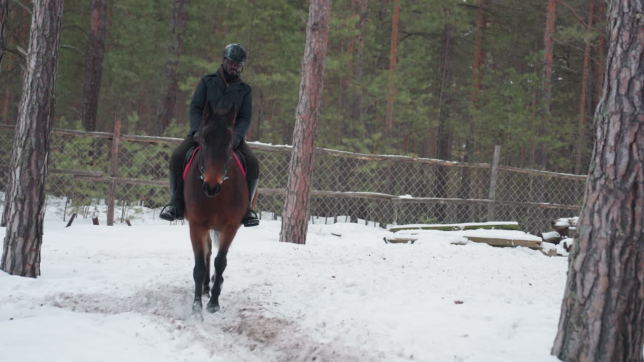 описание лошади, дрессировщик ведет спокойную лошадь по заснеженному пейзажу, всадник и лошадь осторожно пересекают зимний лес, мужчина ведет спокойного коня по морозному лесу зимой