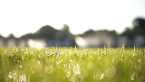 golf club hits a golf ball in a super slow motion. drops of morning dew and grass particles rise into the air after the impact.