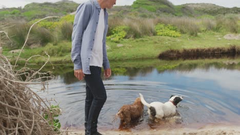 smiling senior caucasian man walking with two dogs at river outdoors