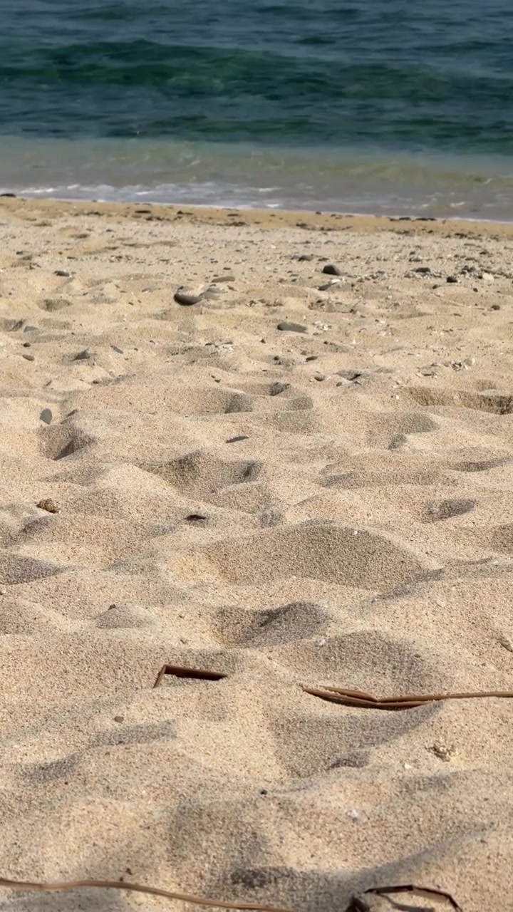 Fredelige havbølger, der ruller ind på en sandstrand