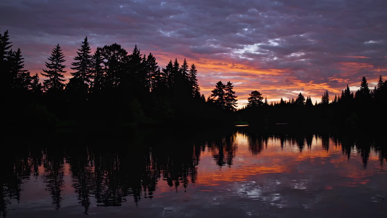 A serene sunset video captures a lake's reflection with silhouetted trees