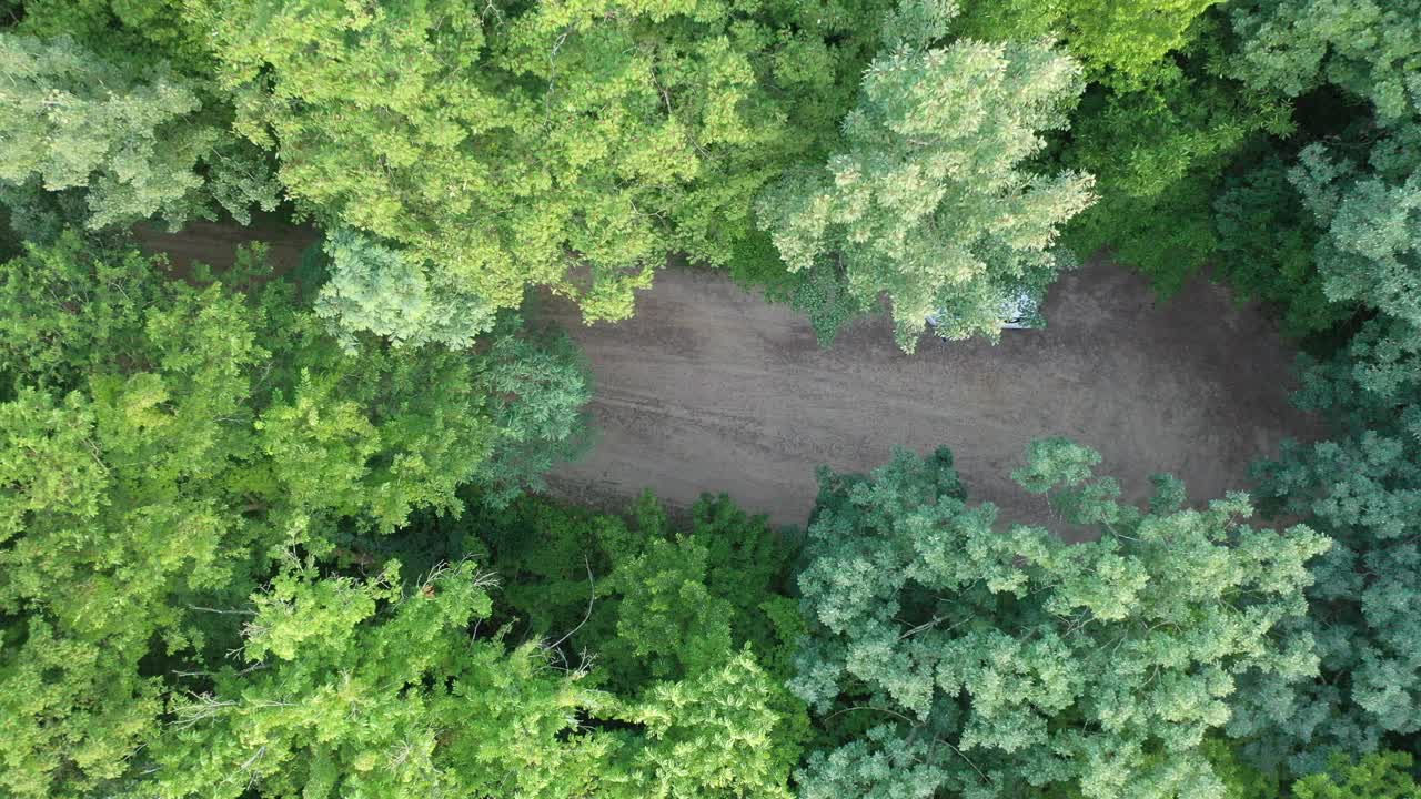 vista aérea de un coche en un camino de tierra en un bosque