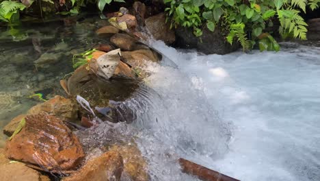 Closeup-of-the-gurgling-stream-of-running-water-in-Kali-Umbul-Gumuk-in-Magelang,-Indonesia,-a-river-of-clear-springs-showing-the-riverbed