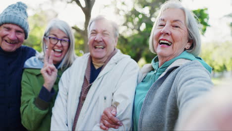 selfie de la naturaleza, cara o ancianos amigos felices vínculo