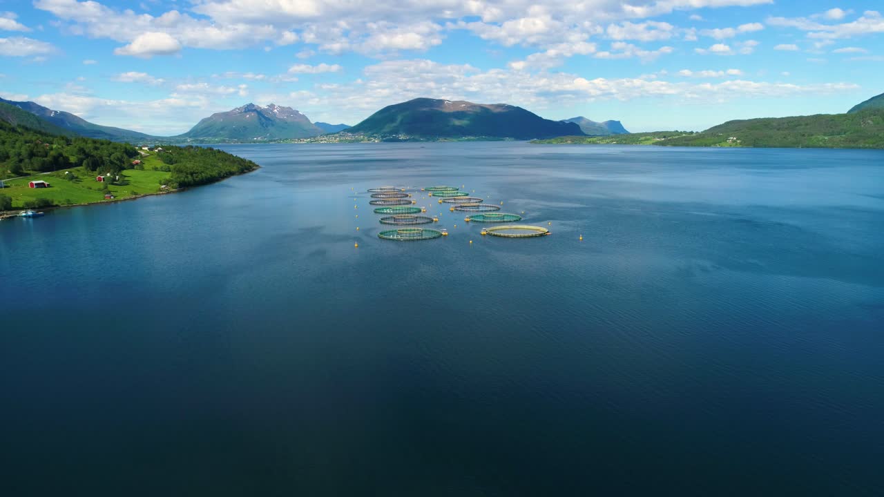노르웨이에서 연어  ⁇ 시를 하는 공중 촬영