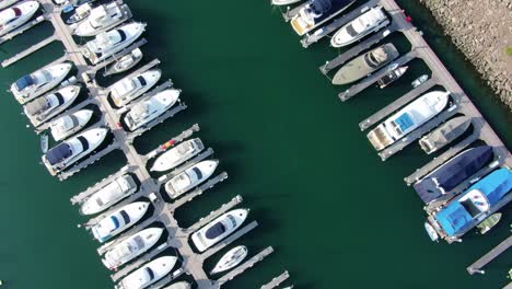 el puerto deportivo de hong kong y el tifón albergan botes pequeños en un día claro de verano, vista aérea