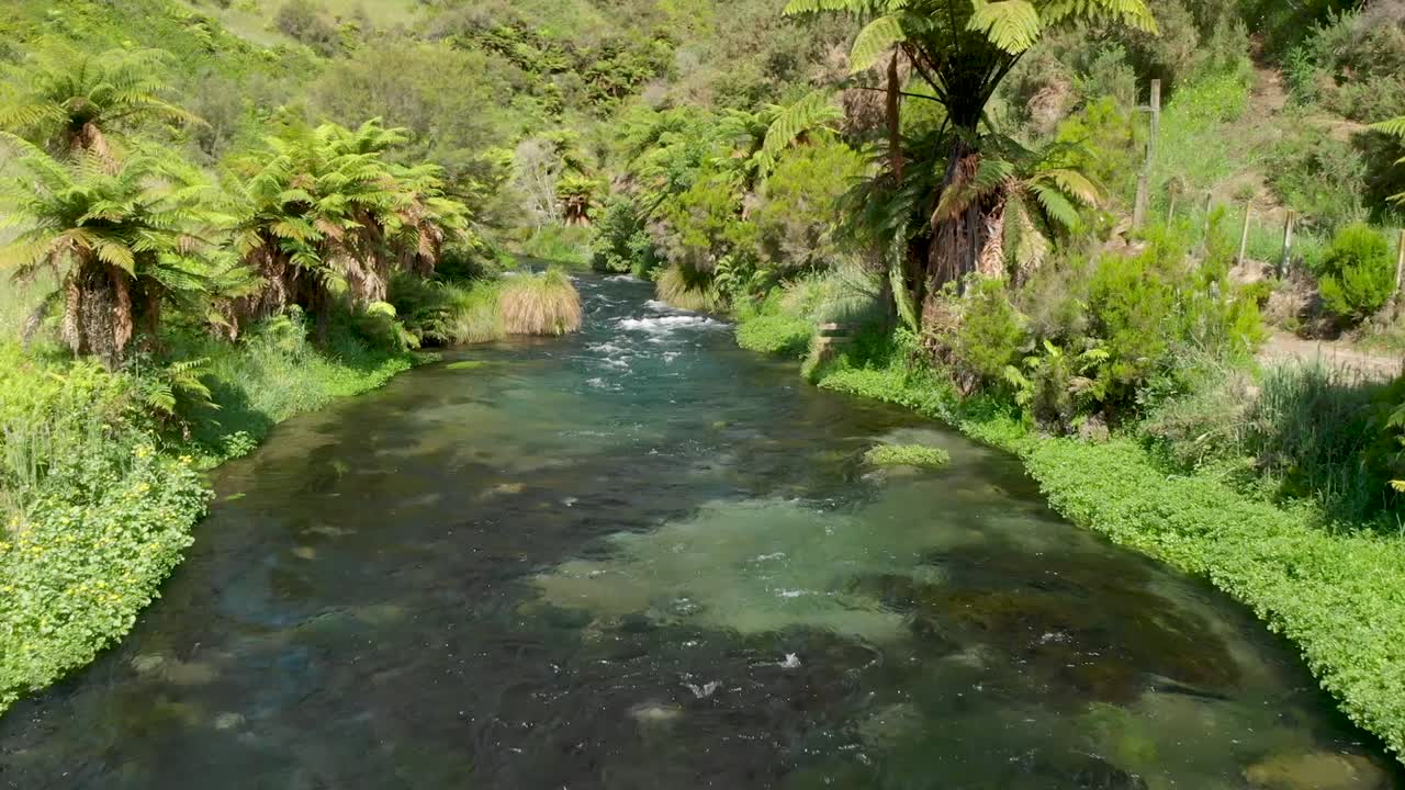 Aerial view of fresh water stream in beatiful native New Zealand scenery