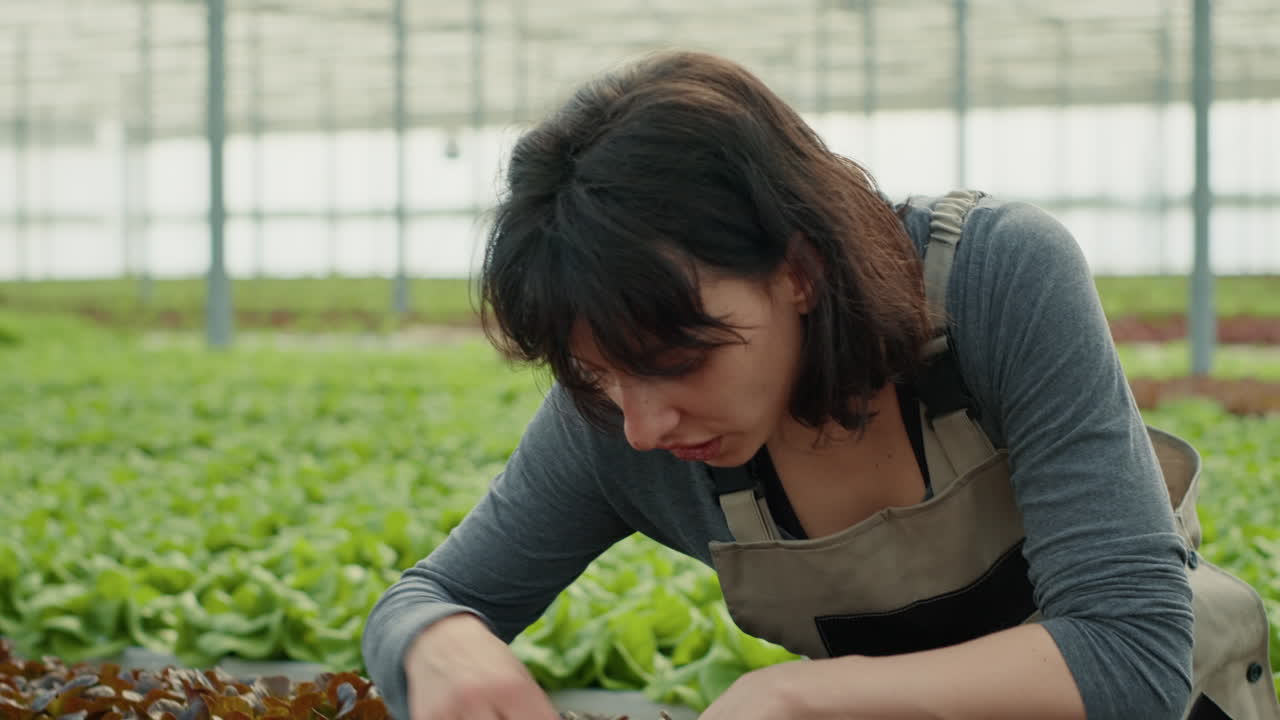 Working in a Greenhouse