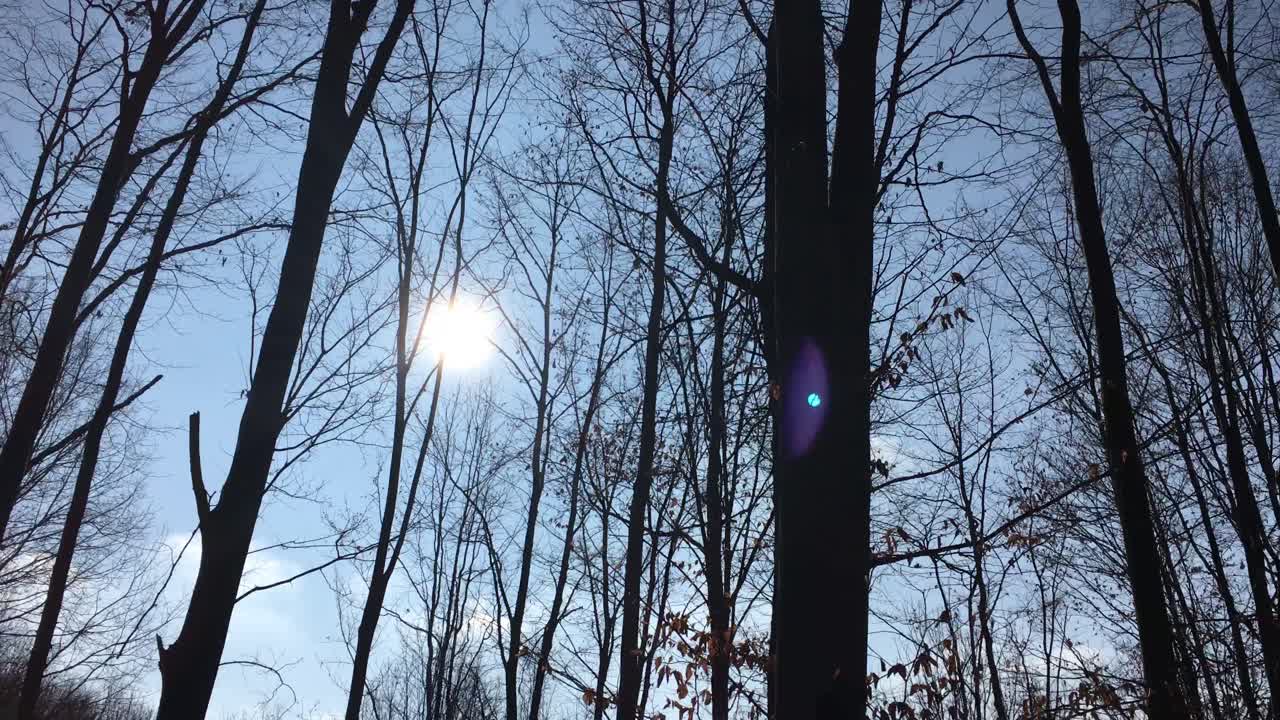 숲길을 걷다, 이른 봄 시즌