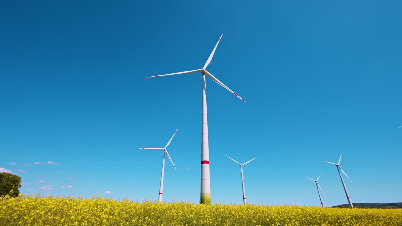 Wind turbines stand tall in sunny field. Tall wind turbines rotate in a bright blue sky, surrounded by a vibrant yellow flower field on a sunny day