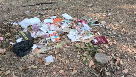 progressive buildup of trash around a tree