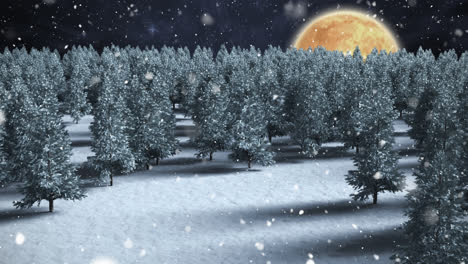 Winterlandschaft-Mit-Vollmond-Und-Fallendem-Schnee