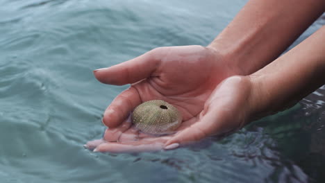 Woman-hands-with-shell-in-water-at-the-sea