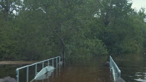 crossing flooded walk bridge along river side walk