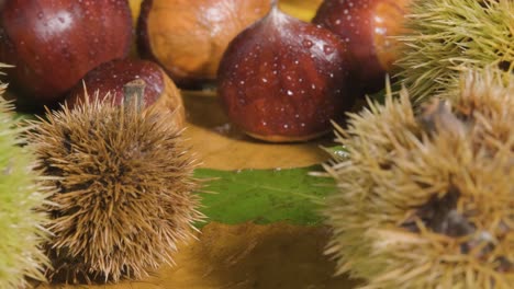 close up view of shiny brown and marron chestnuts with water doplets