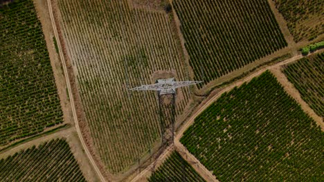 aerial shot overhead an high voltage electric pyon in the middle of a vineyard