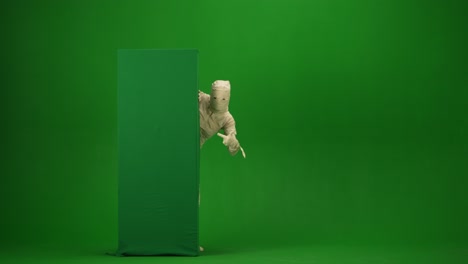green screen isolated chroma key video capturing a mummy dancing and singing actively into the