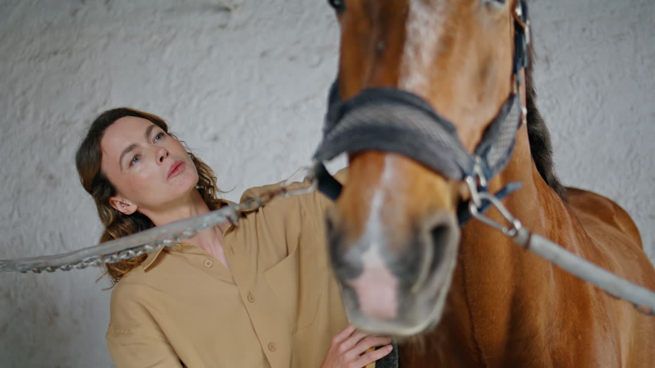Gentle cowgirl cleaning horse light paddock closeup. Woman rubbing animal mane